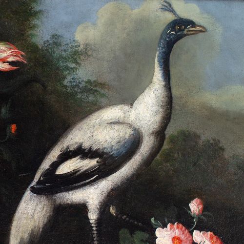 GIUSEPPE PESCI ATTRIBUTED STILL LIFE WITH FLOWERS VASE PEACOCK ANTIQUE OIL PAINTING - ADDITIONAL PHOTO 6