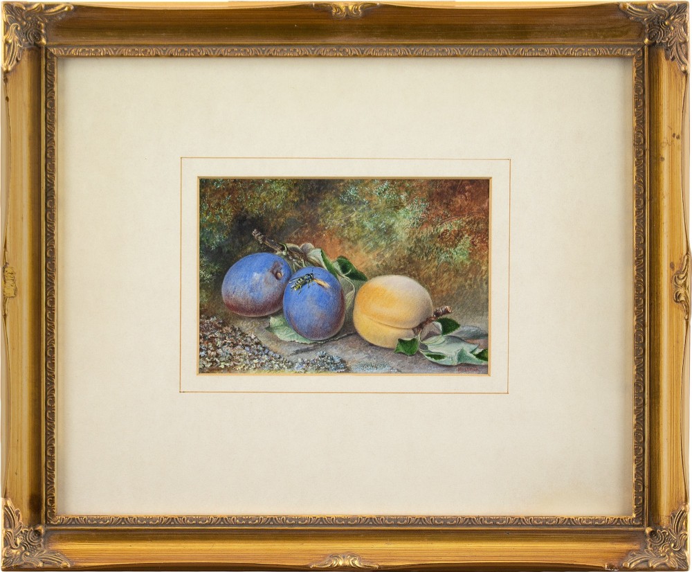 Mary A Hull, Still Life With Still Life With Plums, Peach & Wasp - Antique Watercolour