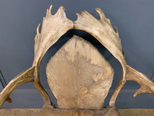 19TH CENTURY STAGS ANTLER ARMCHAIR - ADDITIONAL PHOTO 4