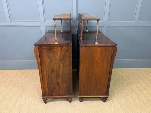 PAIR OF REGENCY PERIOD ROSEWOOD SIDE CABINETS - ADDITIONAL PHOTO 14