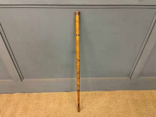 Victorian Walking Cane