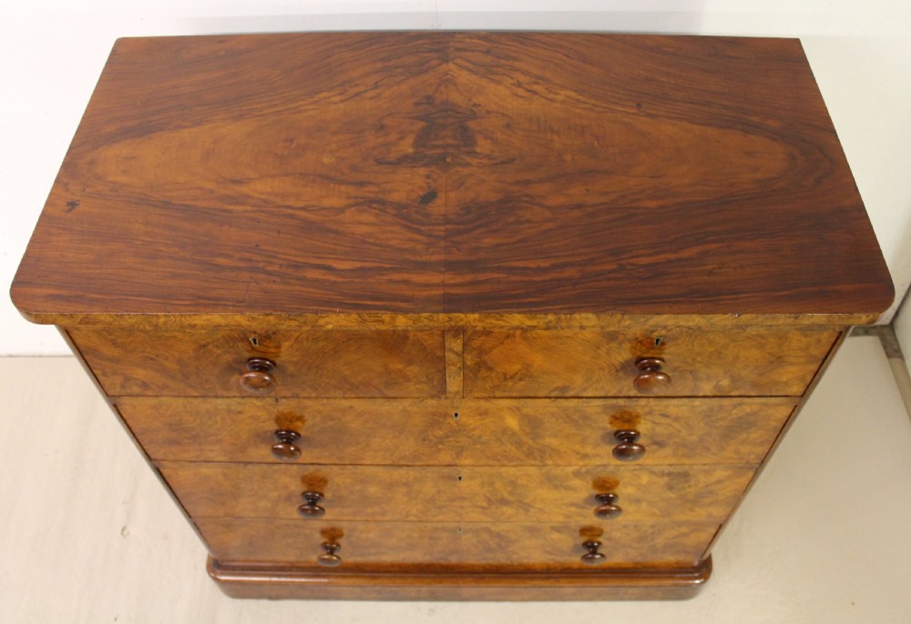 Victorian Burr Walnut Chest by Shoolbred and Co View III
