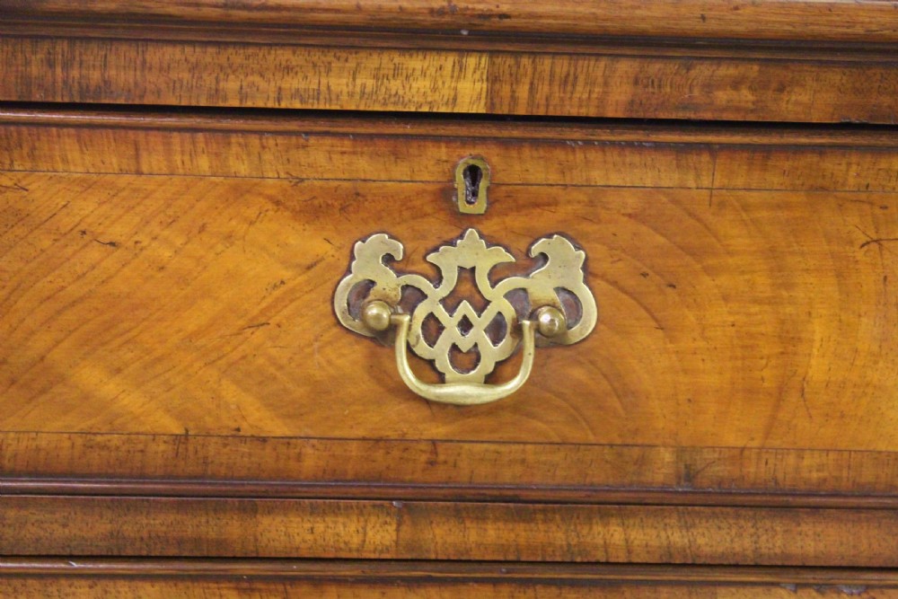 Queen Anne Style Burr Walnut Chest of Drawers View II
