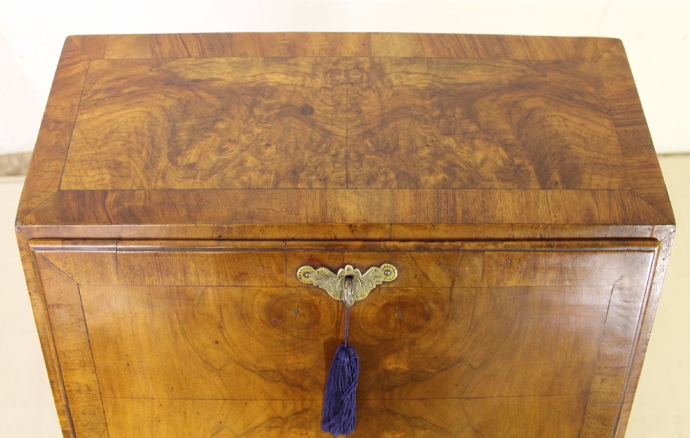 Burr Walnut Bureau View X