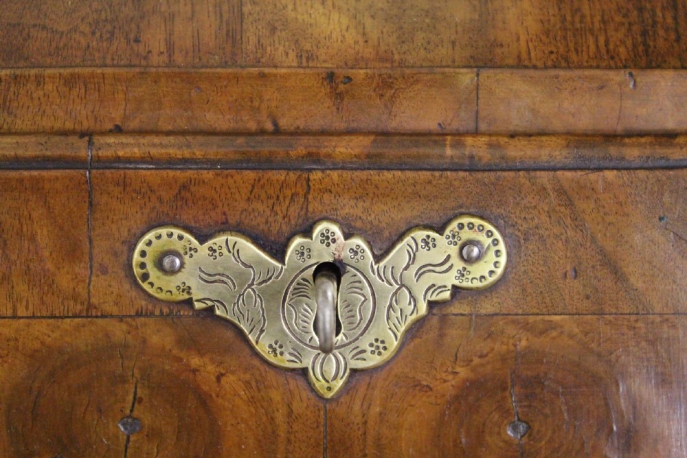Burr Walnut Bureau View XV