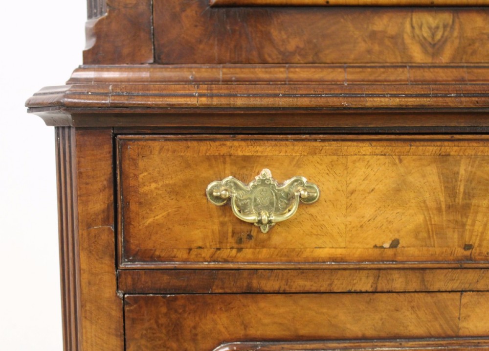 Burr Walnut Library Bookcase View VIII