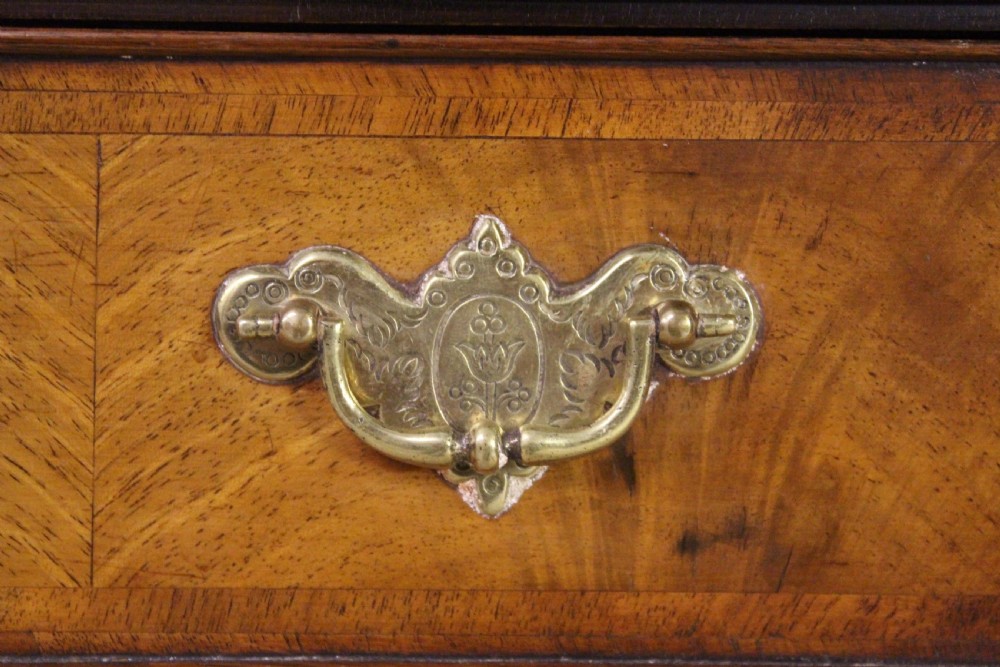 Burr Walnut Library Bookcase View IX