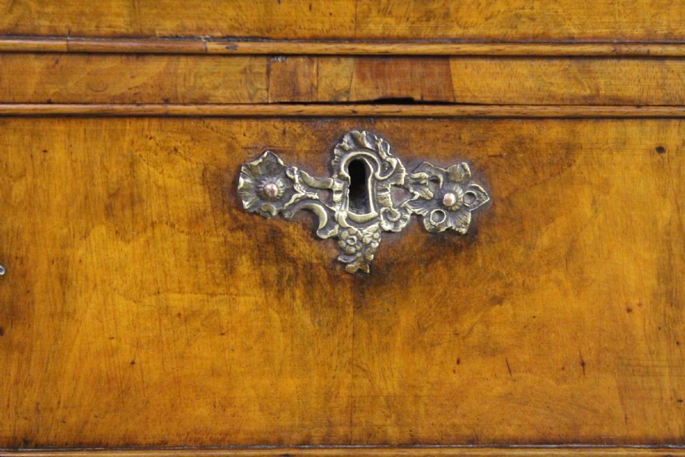 Burr Walnut Dutch Bombe Chest of Drawers View IX