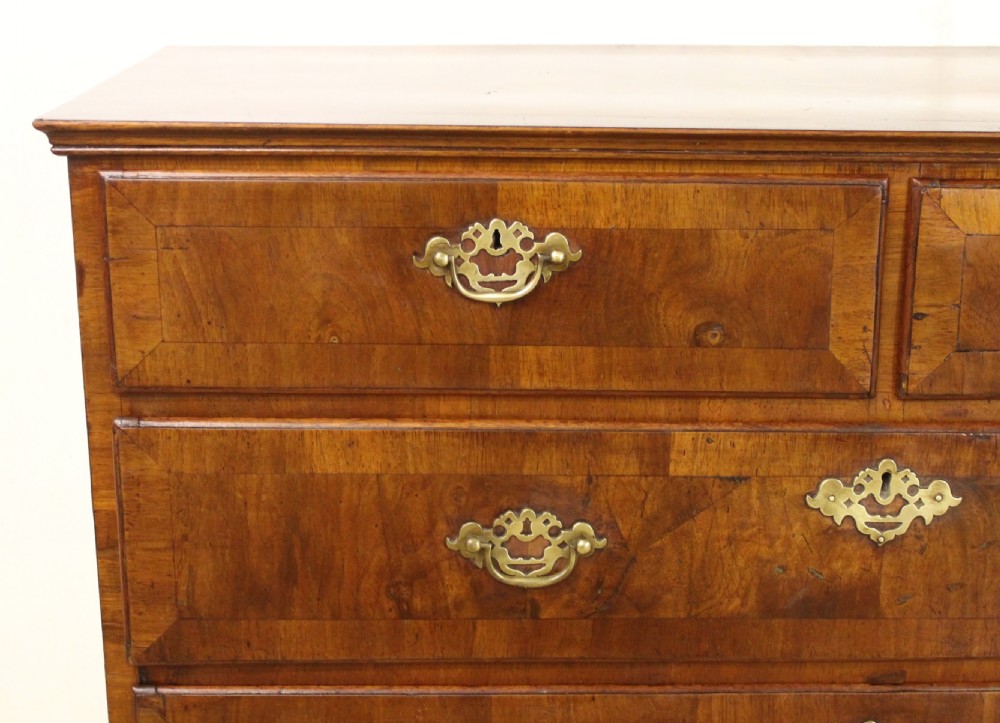 Georgian Burr Walnut Chest of Drawers View III