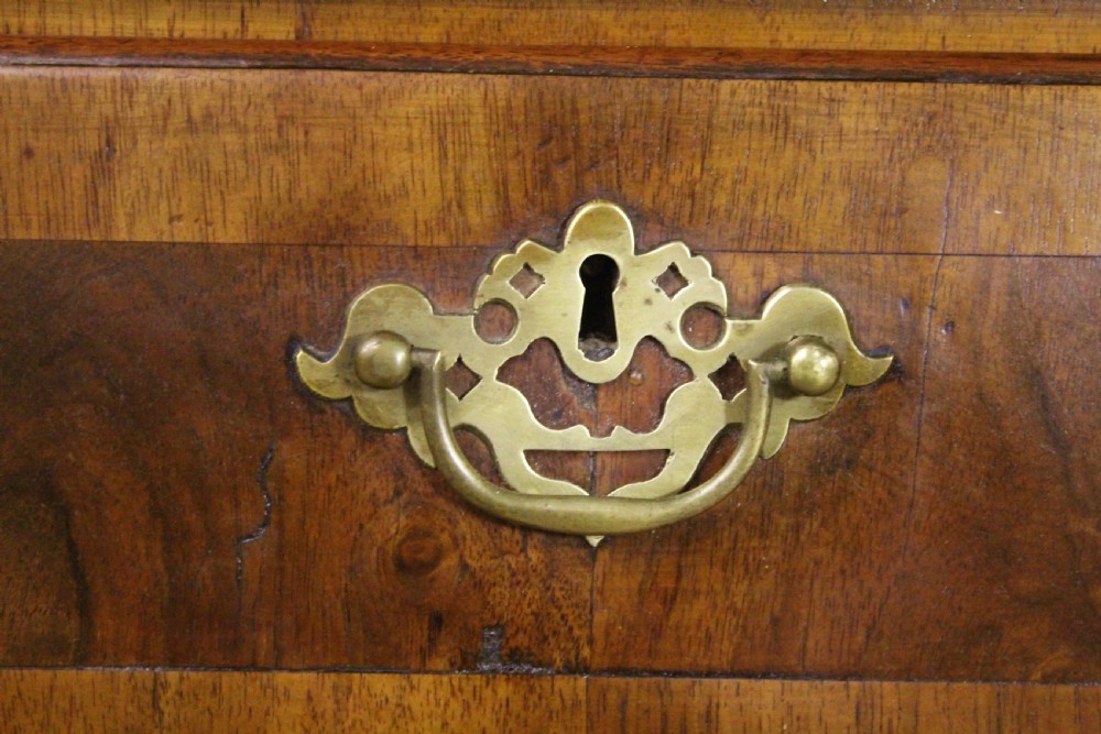 Georgian Burr Walnut Chest of Drawers View VII