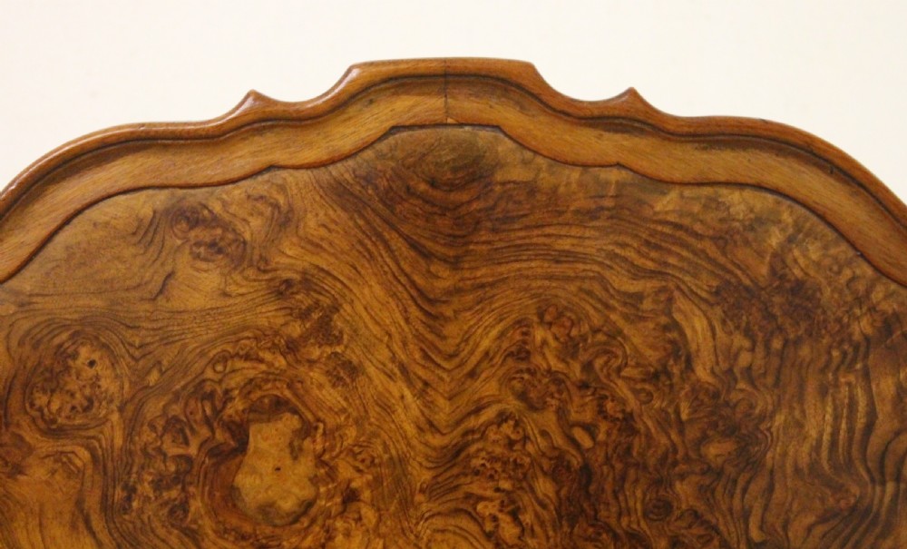 Round Burr Walnut Coffee Table View IV