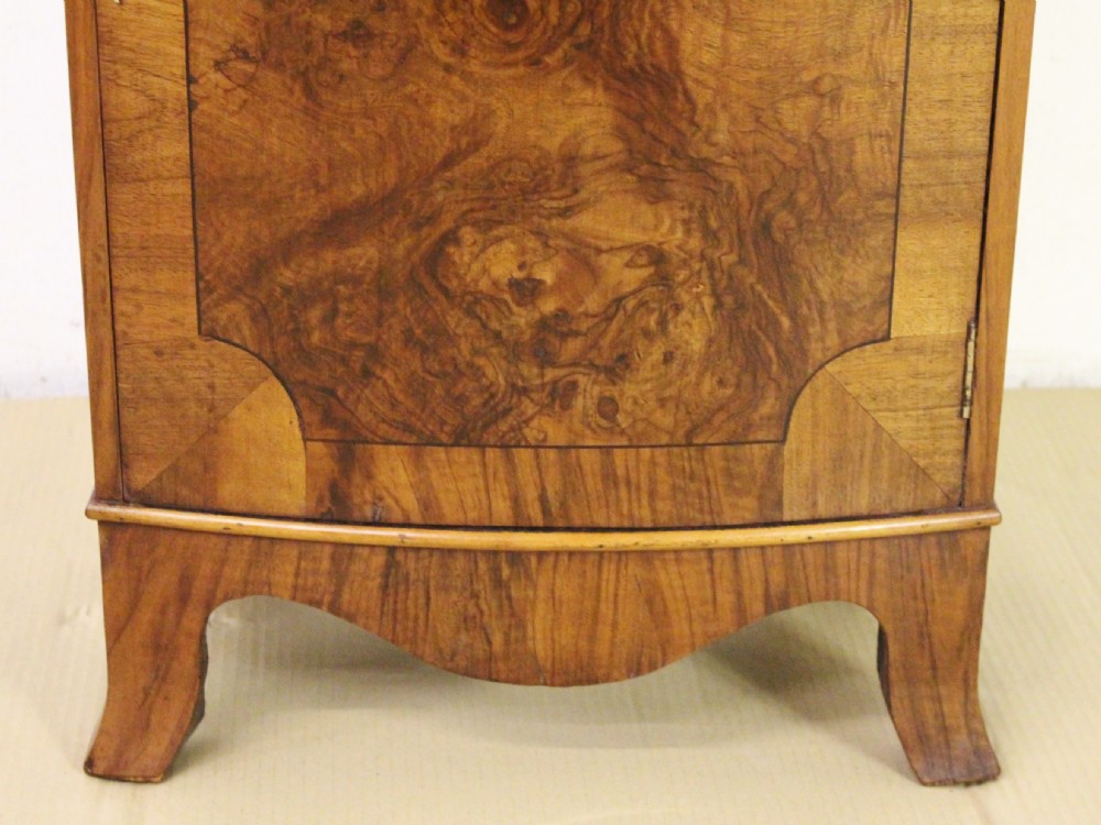 Slender Burr Walnut Bookcase View VI