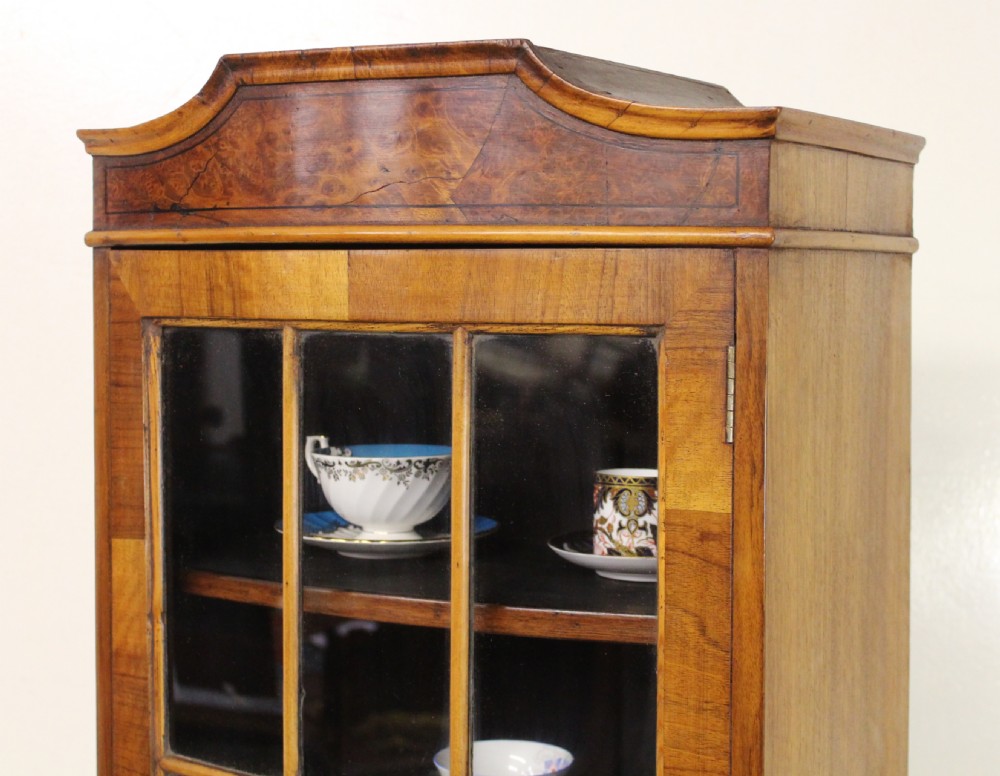 Slender Burr Walnut Bookcase View IX