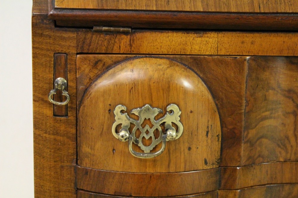 Domed Top Burr Walnut Bureau Bookcase View XI