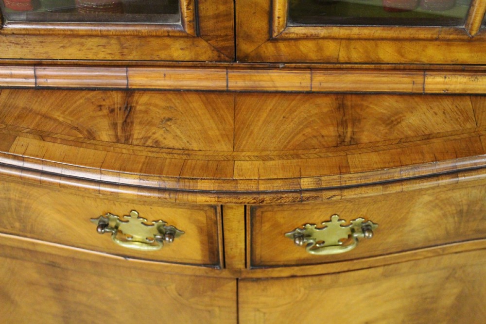 Burr Walnut Serpentine Fronted Bookcase View V