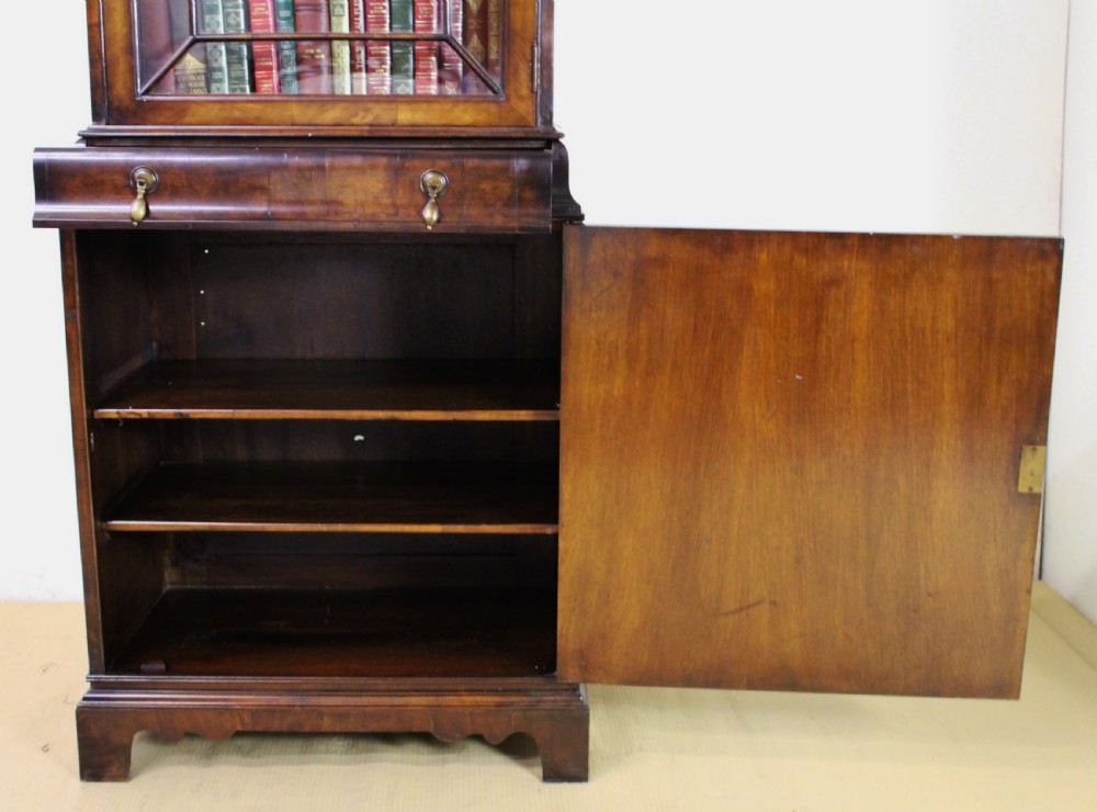 Domed Top Burr Walnut Bookcase View IX