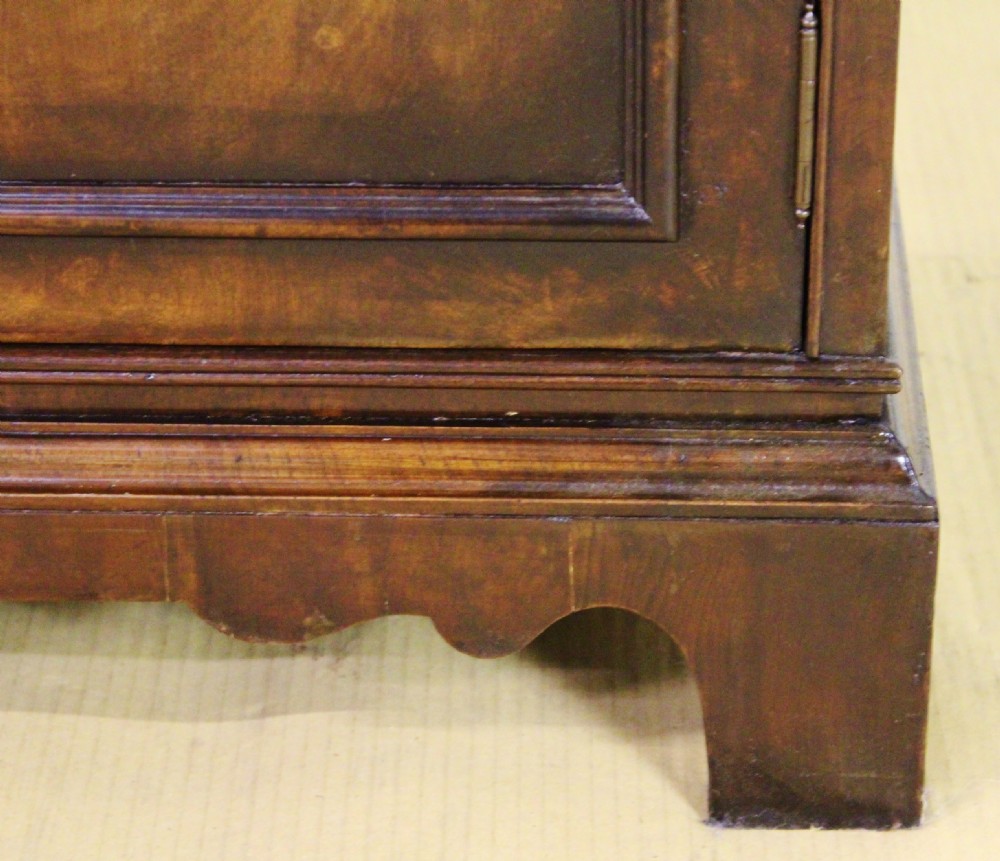 Domed Top Burr Walnut Bookcase View XI