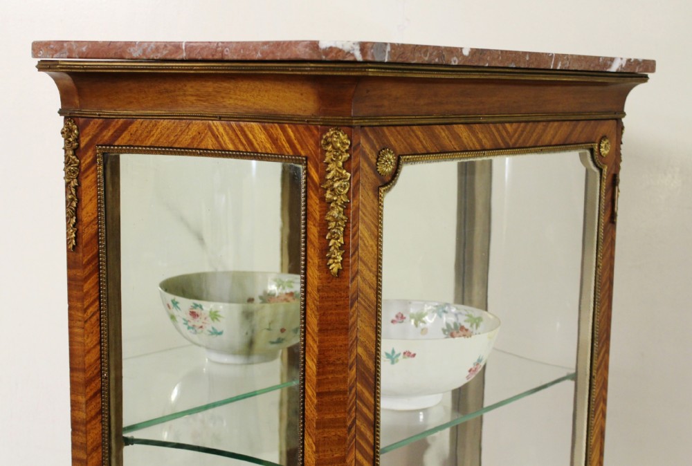 French Kingwood Parquetry Vitrine View XVIII