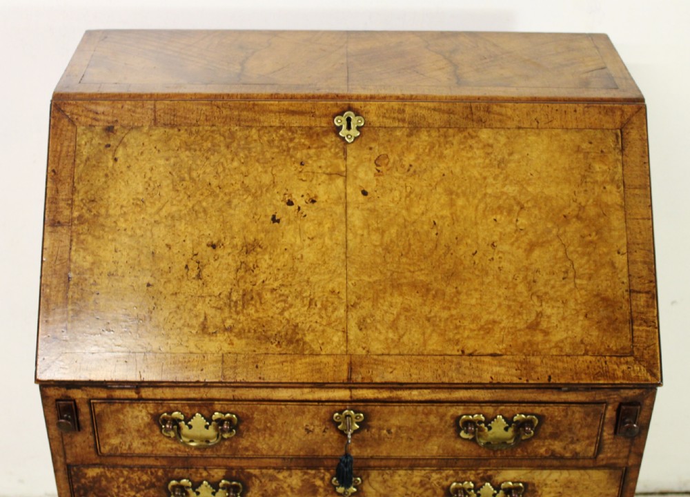 Burr Walnut Bureau View VI