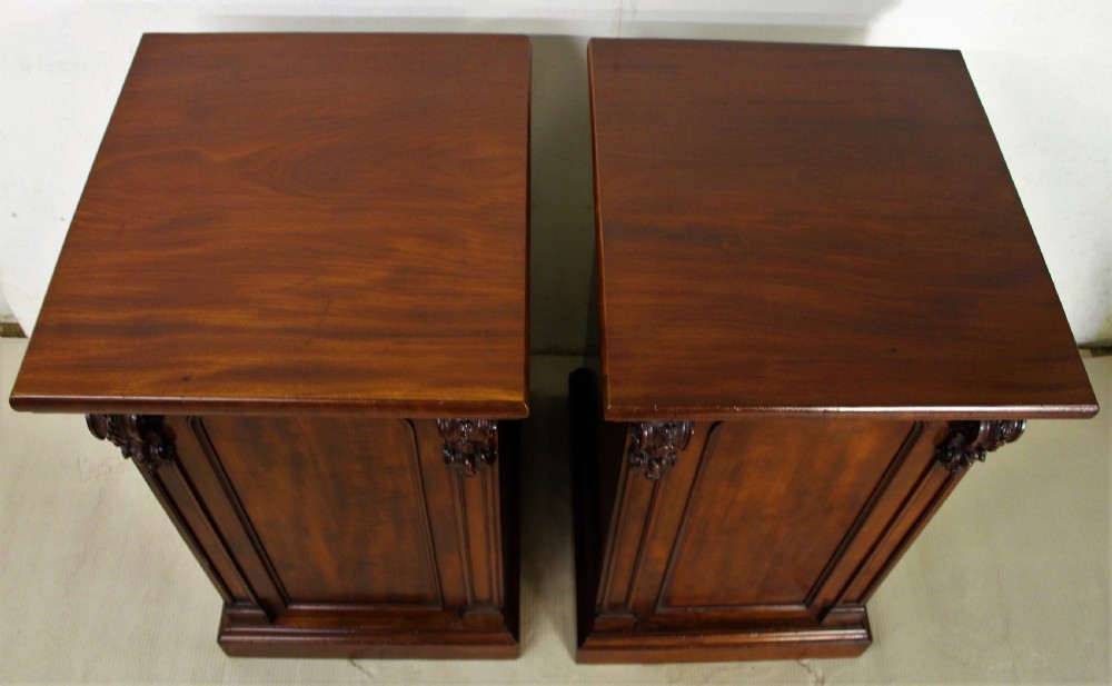 Pair of Early Victorian Mahogany Pedestal Cupboards View IV