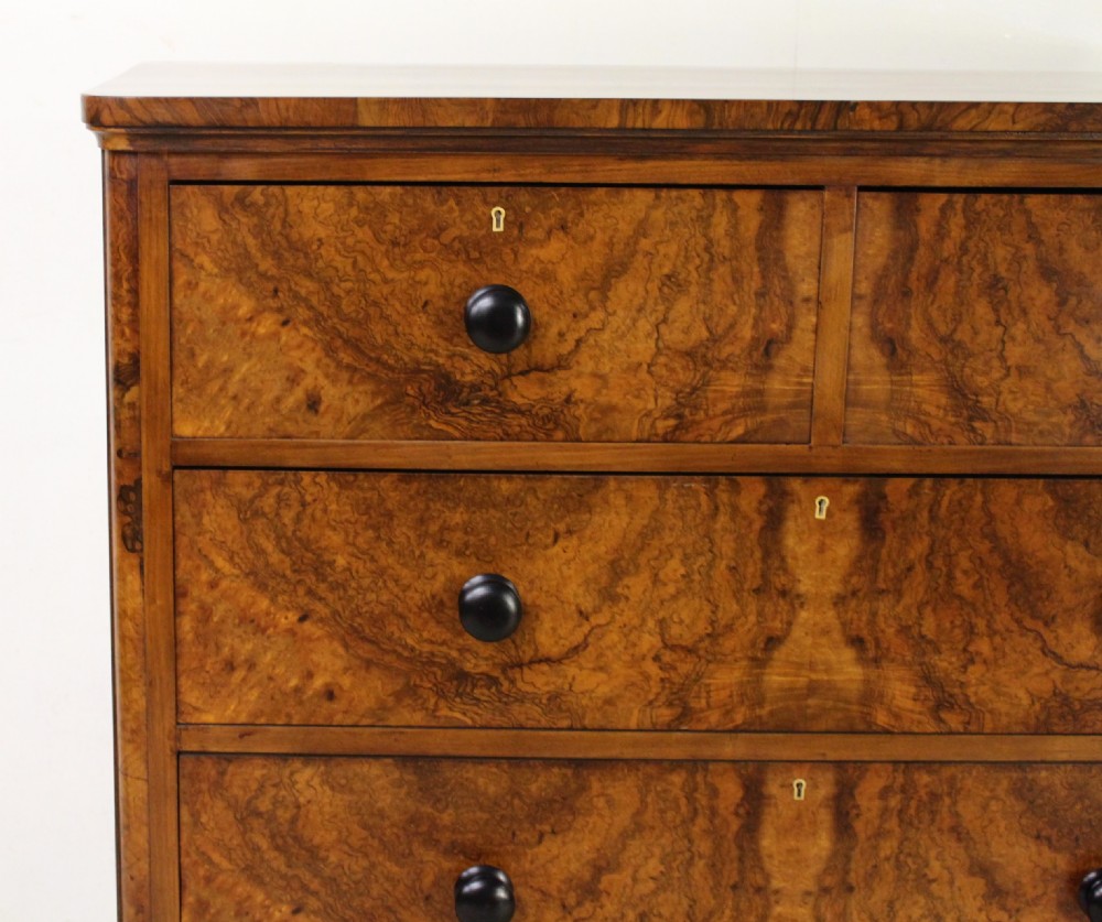 Victorian Burr Walnut Chest of Drawers View VI