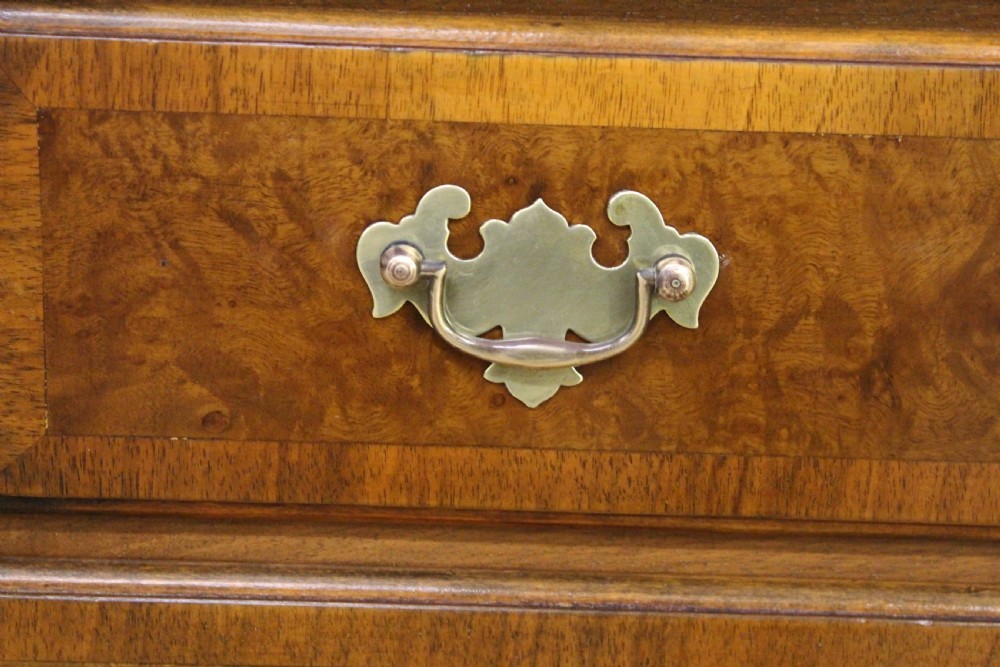 Burr Walnut George I Style Bachelors Chest of Drawers View XII