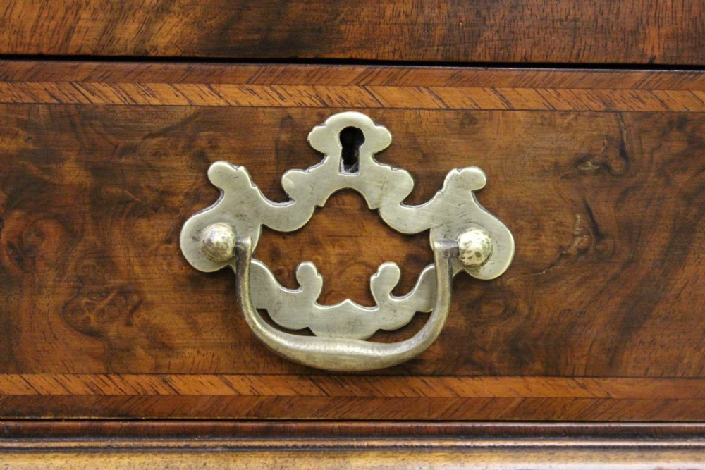 Burr Walnut Pedestal Desk by Maple and Co View XII
