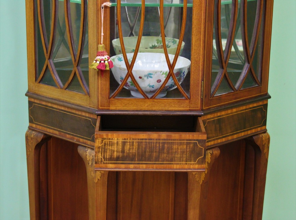 Edwardian Inlaid Mahogany Display Cabinet View IV