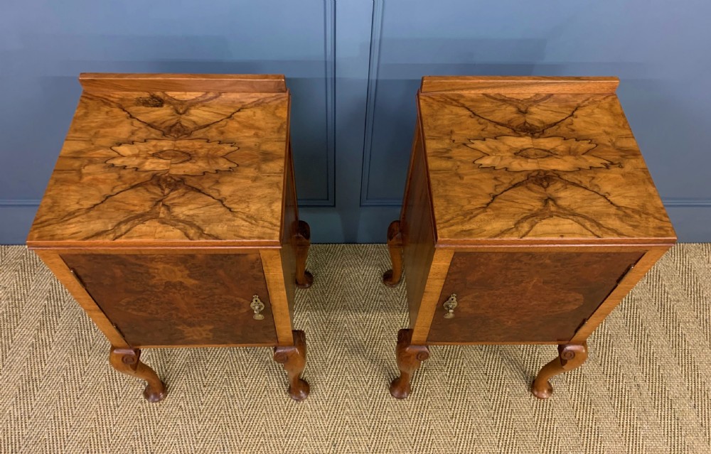 Pair of Burr Walnut Bedside Cupboards View III