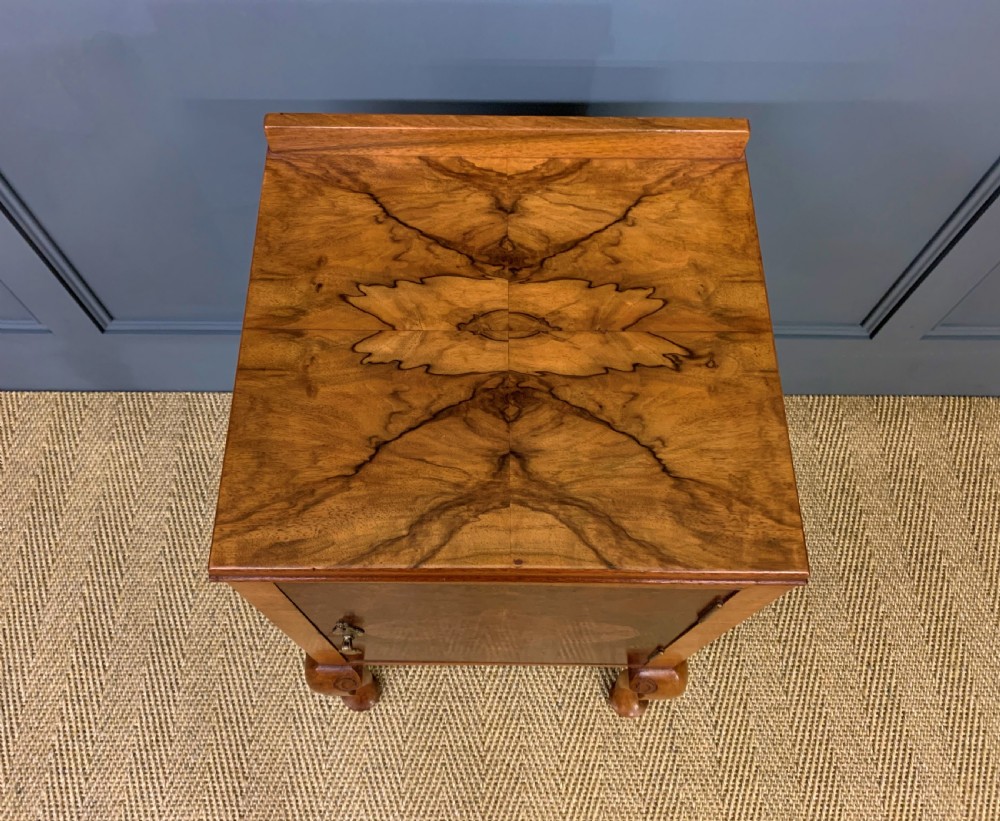 Pair of Burr Walnut Bedside Cupboards View IX