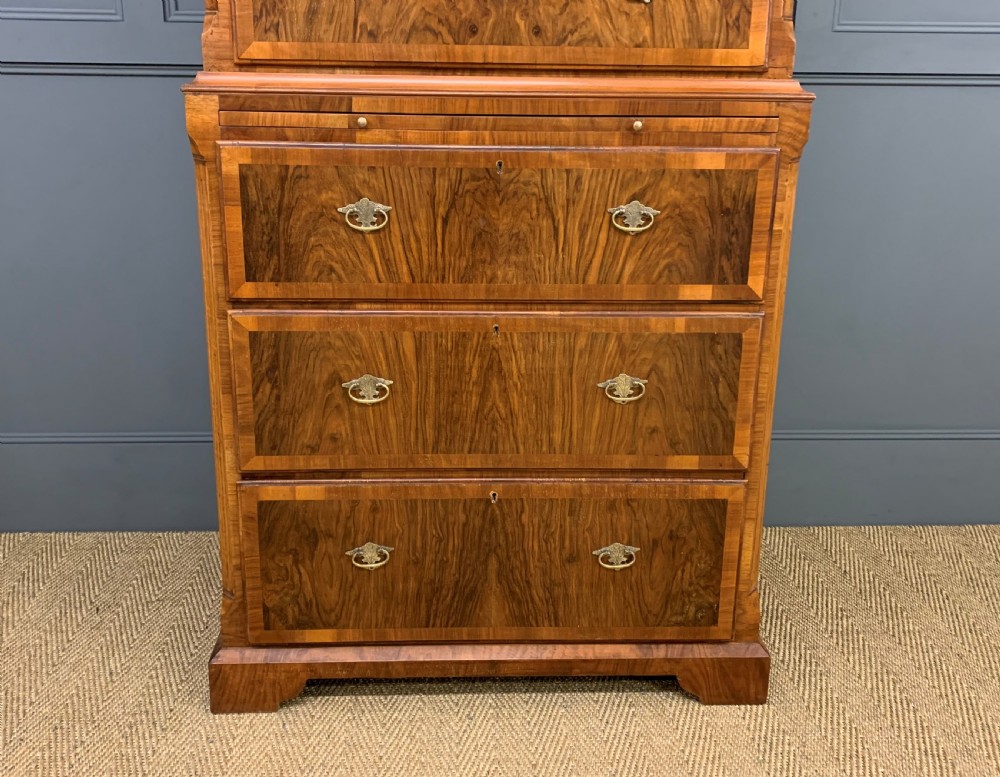Burr Walnut Chest on Chest View VIII