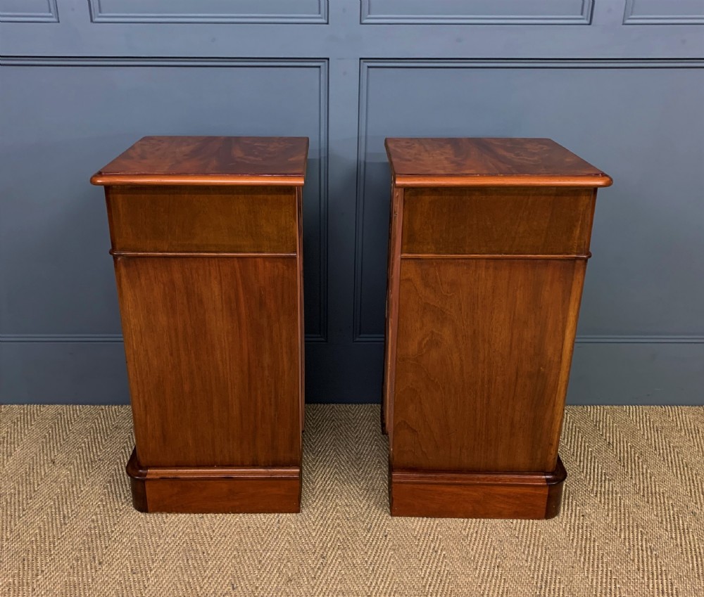 Pair of Victorian Mahogany Bedside Chests View XV