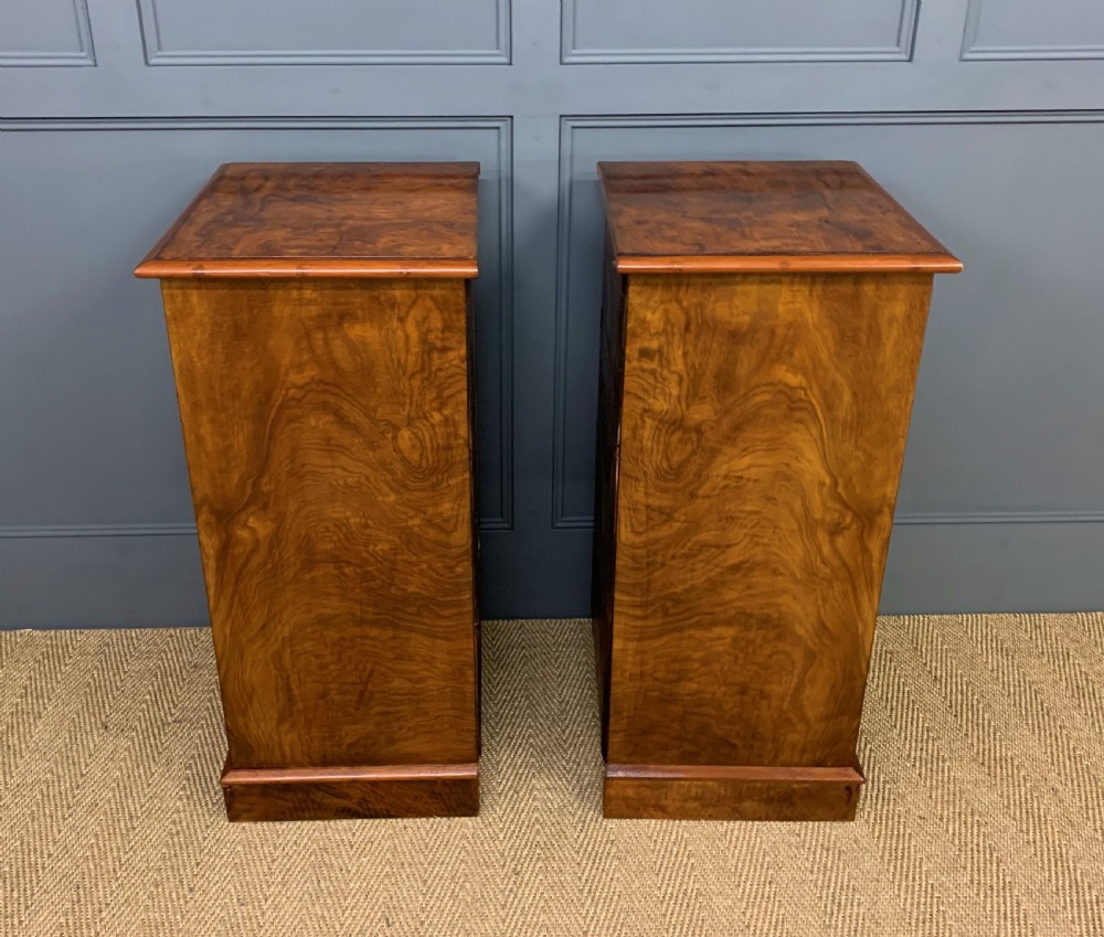 Large Pair of Victorian Burr Walnut Bedside Chests View V