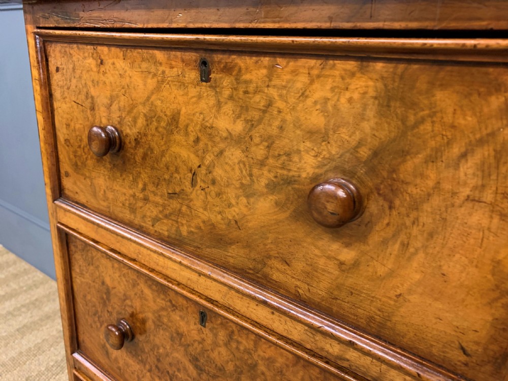 Large Pair of Victorian Burr Walnut Bedside Chests View XI