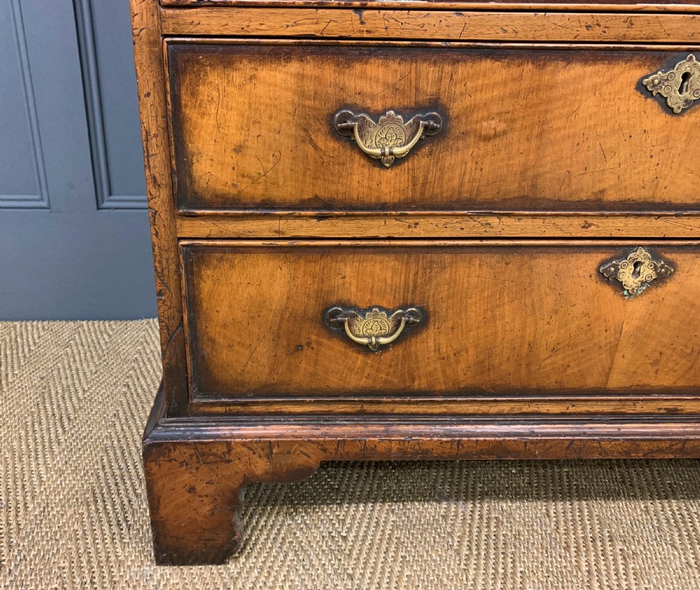Dome Topped Burr Walnut Bureau Bookcase View XII