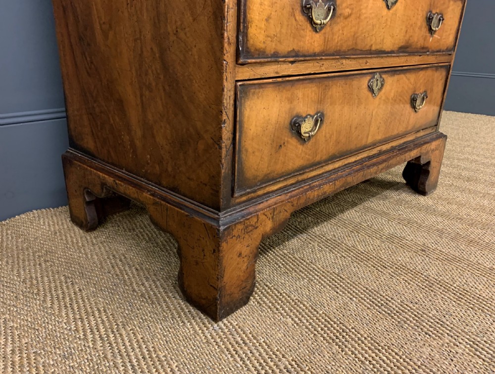Dome Topped Burr Walnut Bureau Bookcase View XVIII