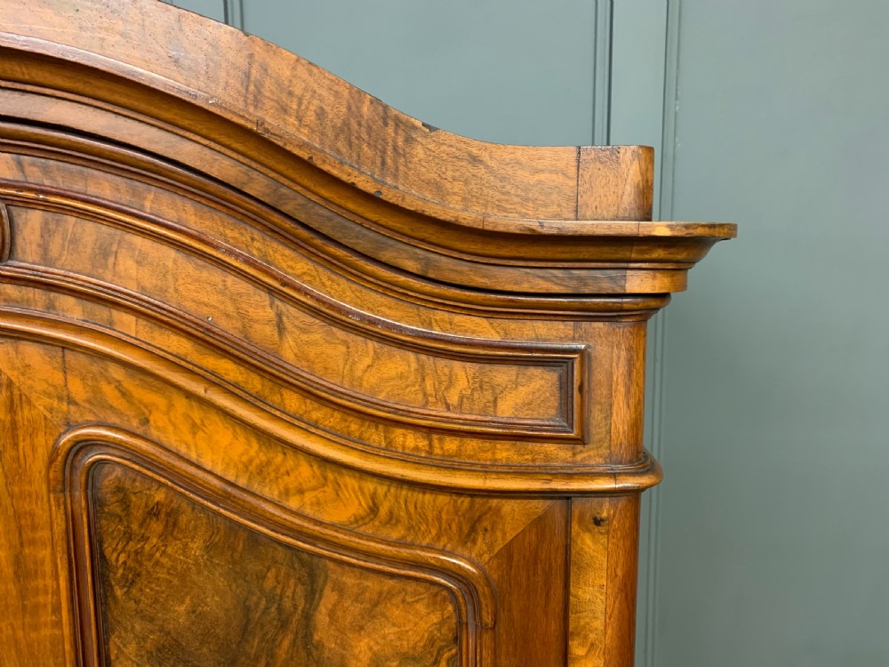 19th Century Burr Walnut Wardrobe View VIII