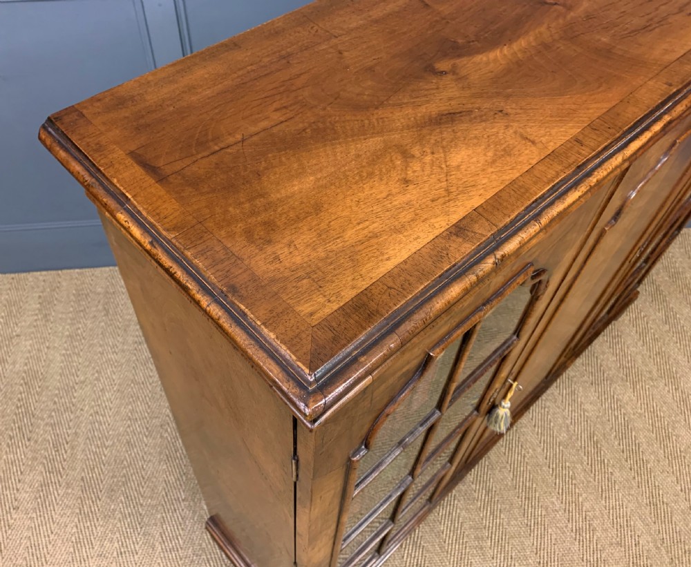 Burr Walnut Bookcase View VI