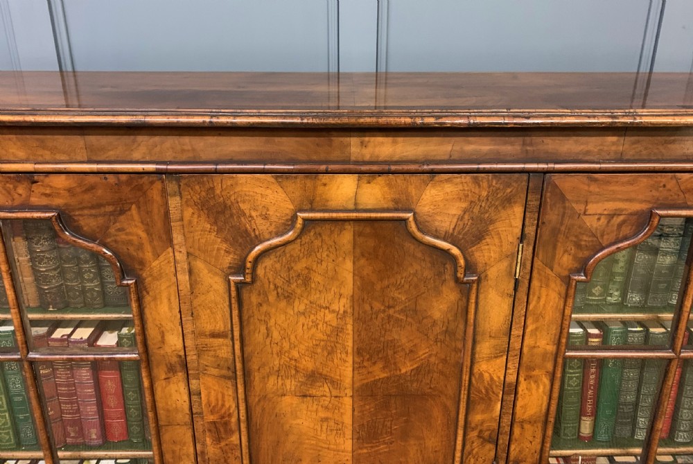 Burr Walnut Bookcase View XIII