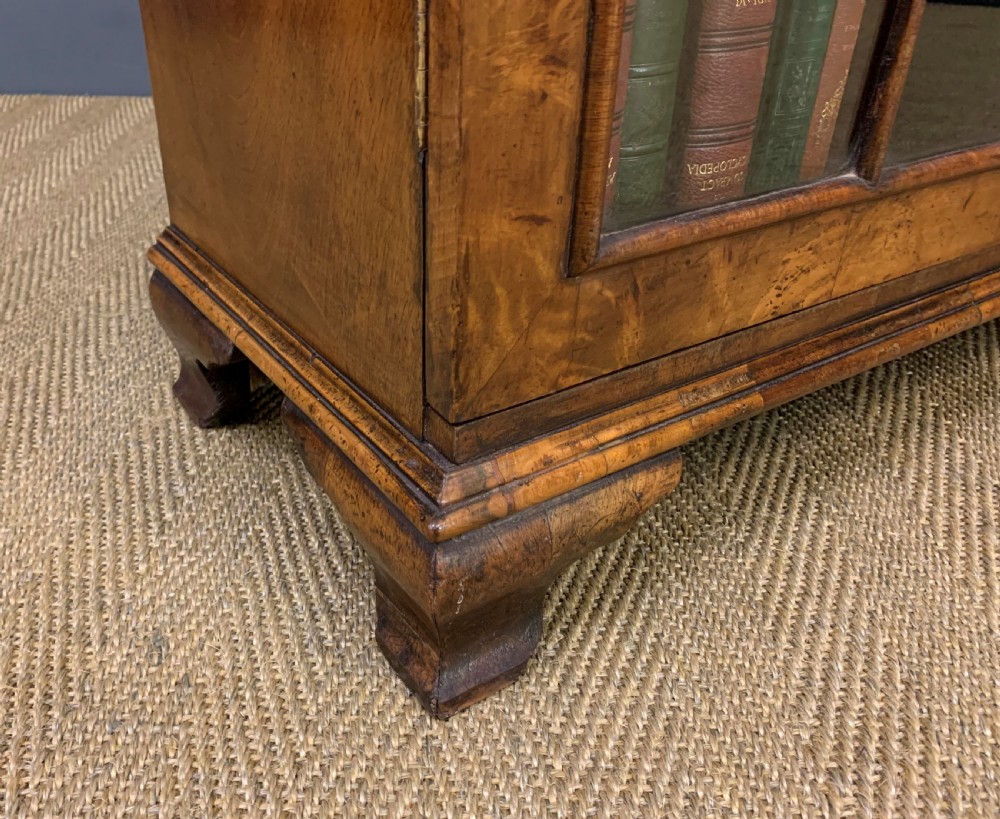 Burr Walnut Bookcase View XIV