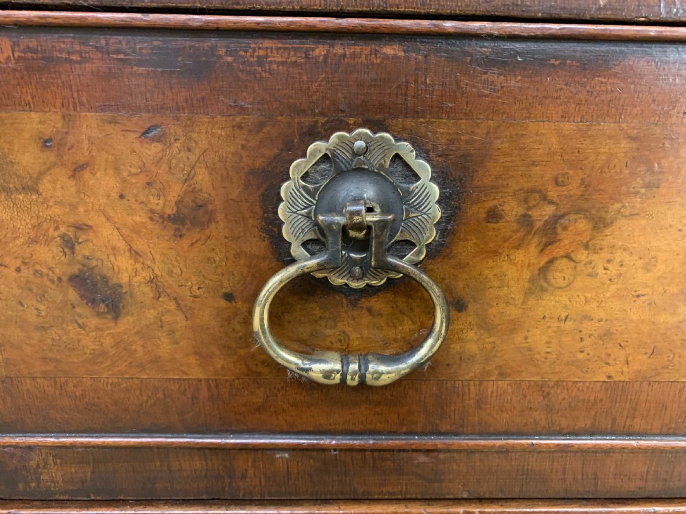 Georgian Style Burr Walnut Bureau View VIII
