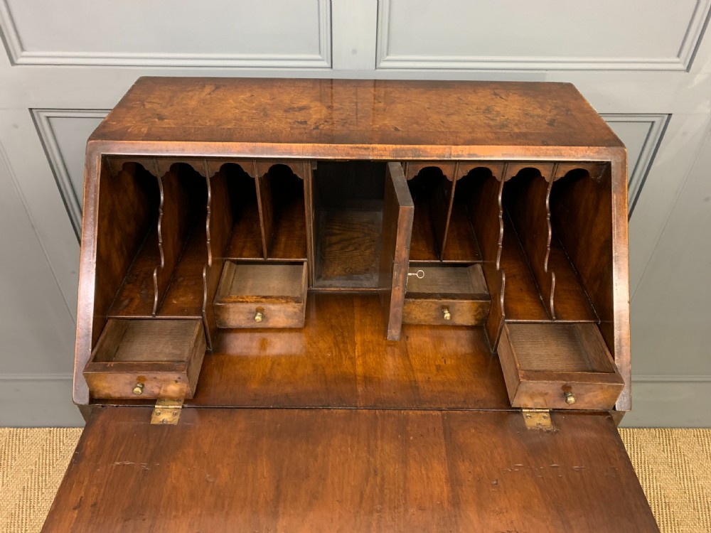 Georgian Style Burr Walnut Bureau View X