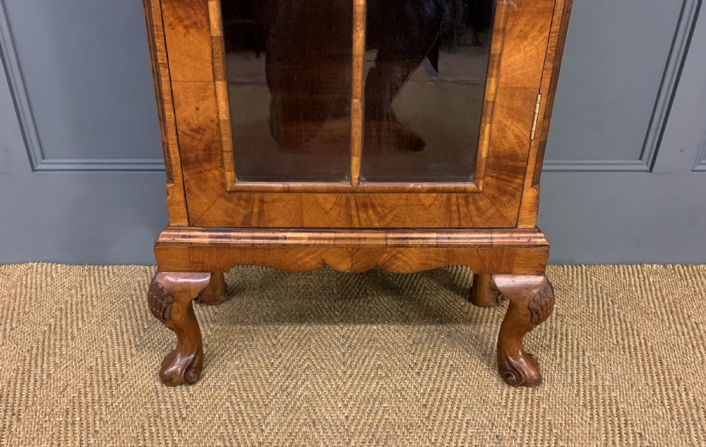 Small Burr Walnut Bookcase View VIII