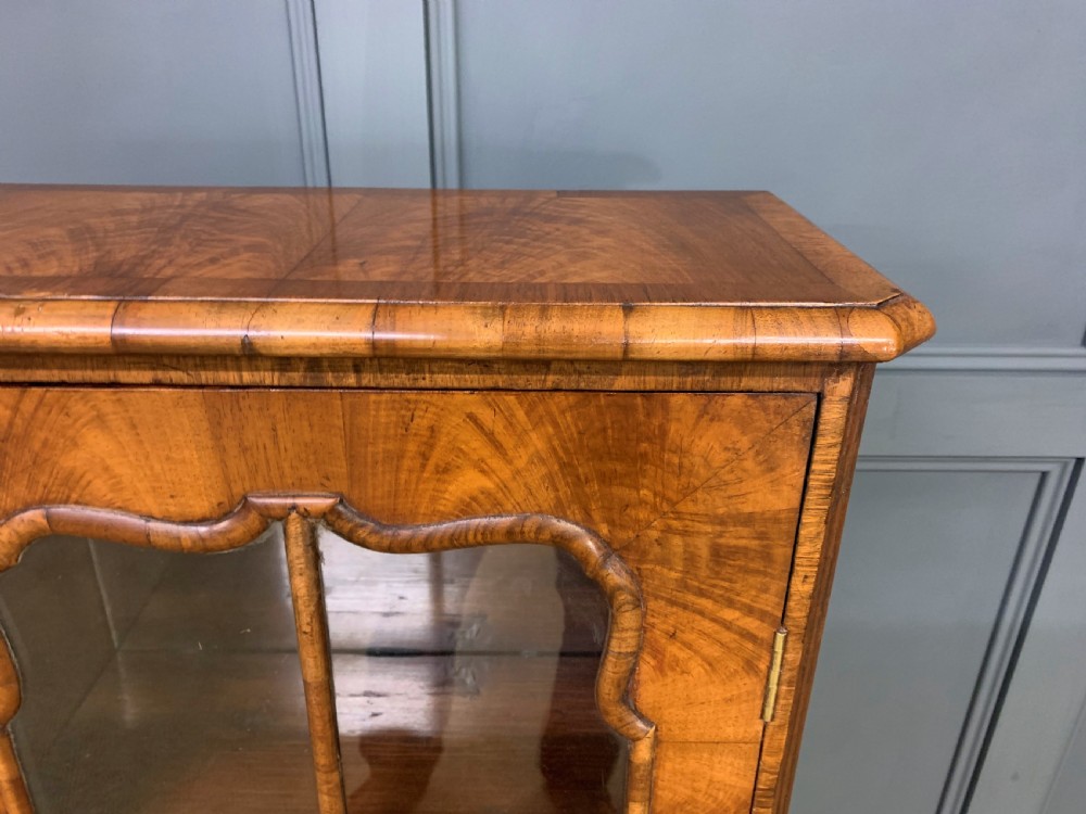 Small Burr Walnut Bookcase View IX