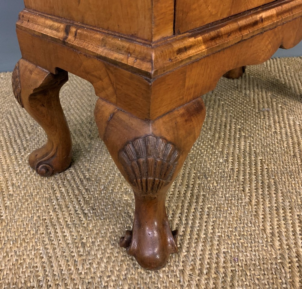 Small Burr Walnut Bookcase View XI