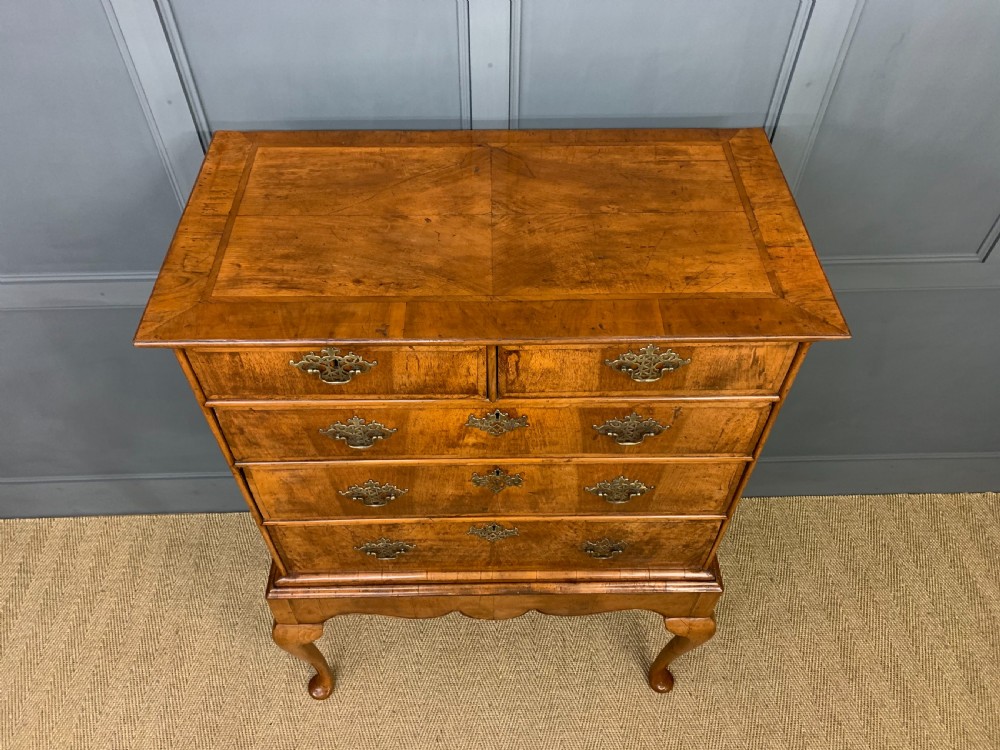 19th Century Burr Walnut Chest on Stand View III
