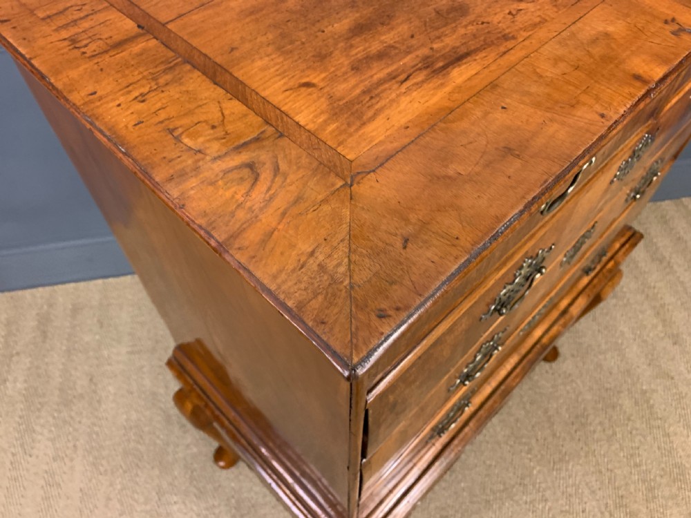 19th Century Burr Walnut Chest on Stand View XIV