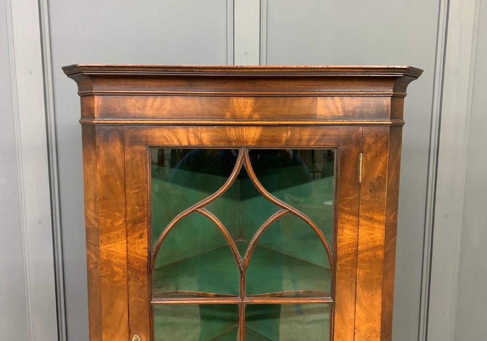Burr Walnut Corner Cabinet View III