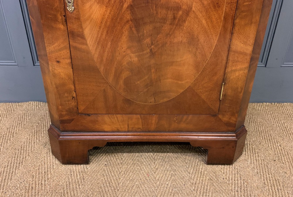 Burr Walnut Corner Cabinet View VI
