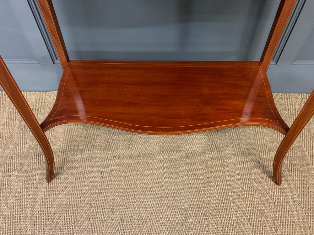 Edwards and Roberts Inlaid Mahogany Display Cabinet View IX